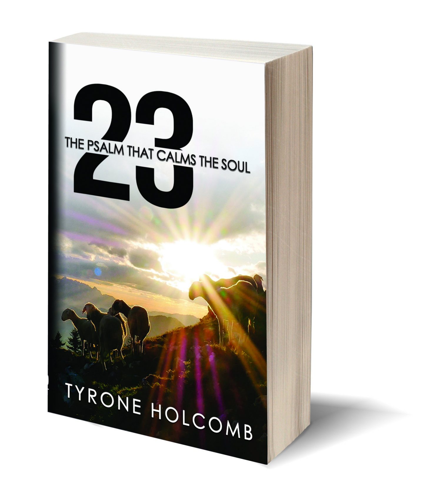 23: The Psalm that Calms the Soul